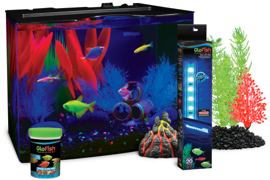 Neon shop fish tank